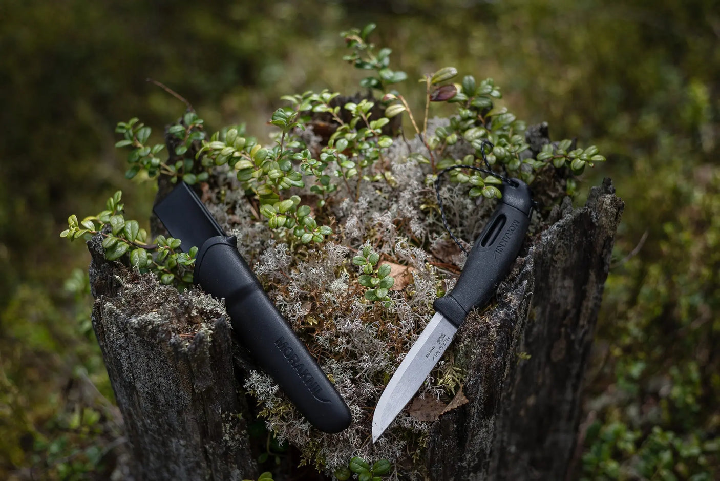 Morakniv® Companion Spark - Polisprylar.se